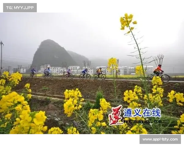 汇川体育馆承办全国冠军赛，遵义教育发展集团执行赛事服务